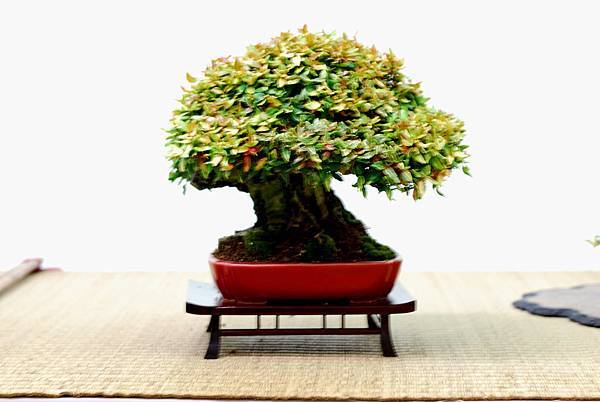 DSC_7630.jpg DSC_7630.jpg