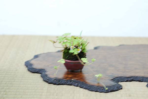 DSC_7634.jpg DSC_7634.jpg