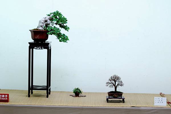 DSC_7635.jpg DSC_7635.jpg