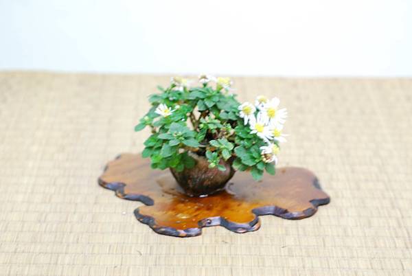 DSC_7640.jpg DSC_7640.jpg