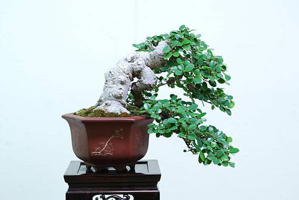 DSC_7639.jpg DSC_7639.jpg