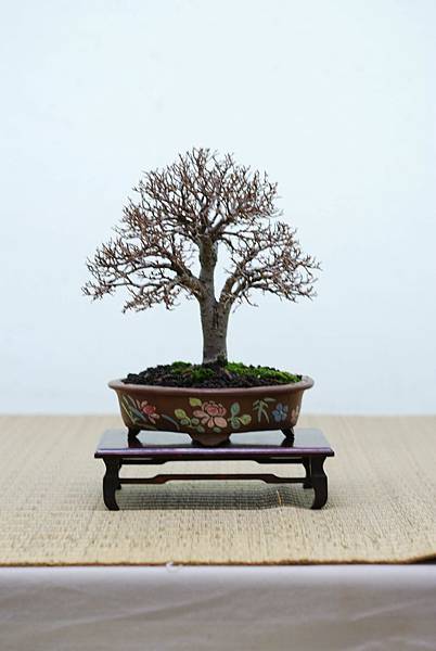 DSC_7637.jpg DSC_7637.jpg