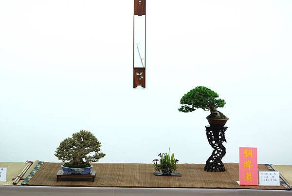 DSC_7642.jpg DSC_7642.jpg