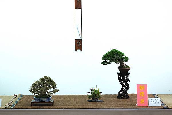 DSC_7641.jpg DSC_7641.jpg