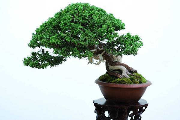 DSC_7644.jpg DSC_7644.jpg