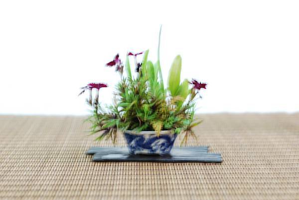 DSC_7647.jpg DSC_7647.jpg