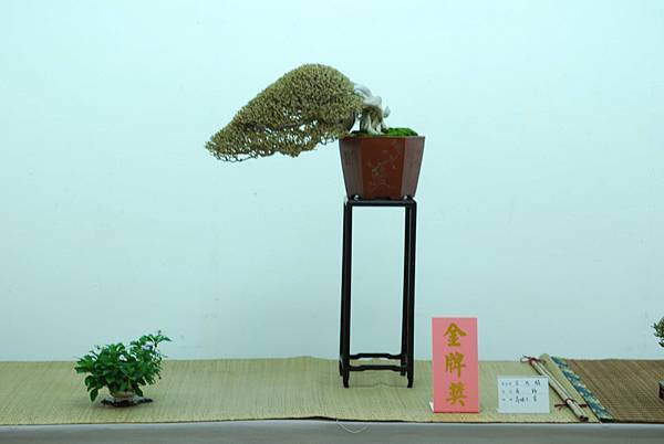 DSC_7649.jpg DSC_7649.jpg