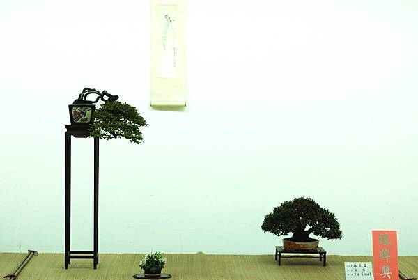 DSC_7653.jpg DSC_7653.jpg