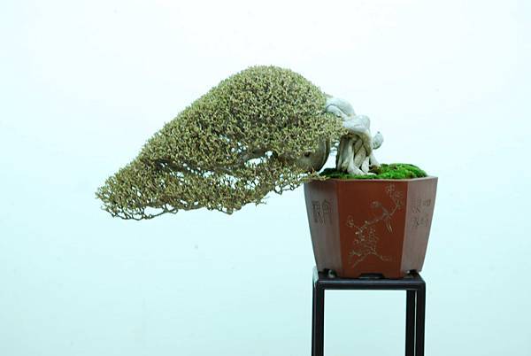 DSC_7651.jpg DSC_7651.jpg