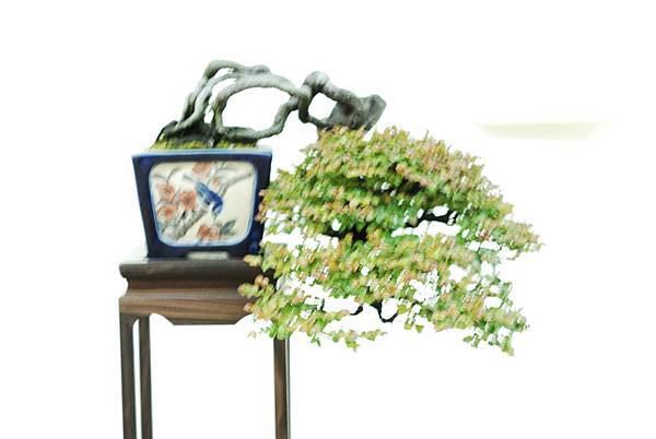 DSC_7655.jpg DSC_7655.jpg