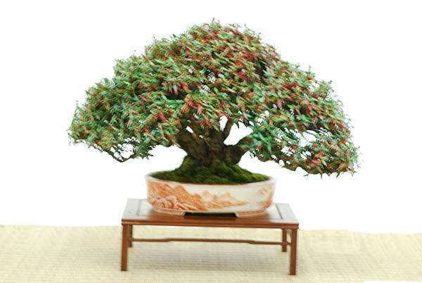 DSC_7656.jpg DSC_7656.jpg