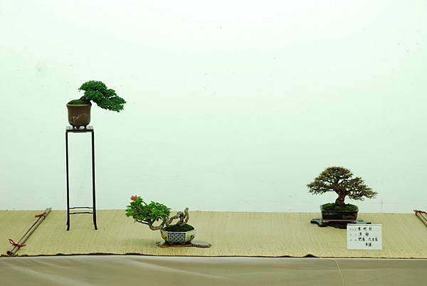 DSC_7661.jpg DSC_7661.jpg