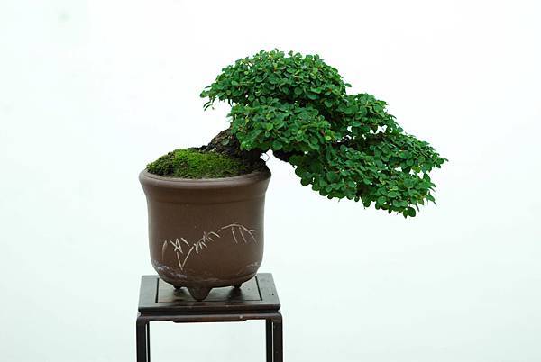 DSC_7662.jpg DSC_7662.jpg