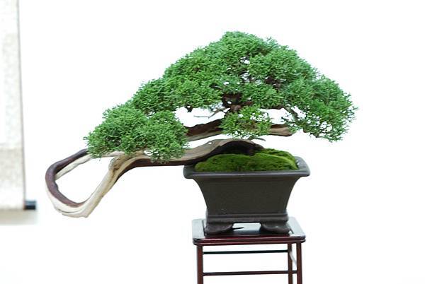 DSC_7667.jpg DSC_7667.jpg