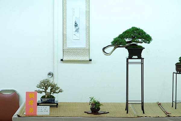 DSC_7666.jpg DSC_7666.jpg