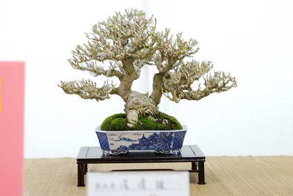 DSC_7670.jpg DSC_7670.jpg