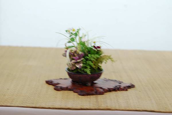 DSC_7669.jpg DSC_7669.jpg