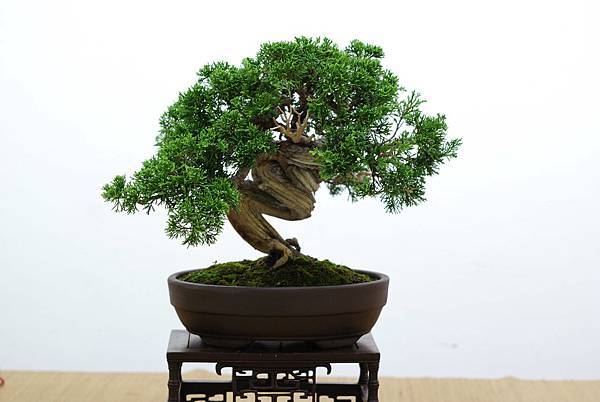 DSC_7673.jpg DSC_7673.jpg