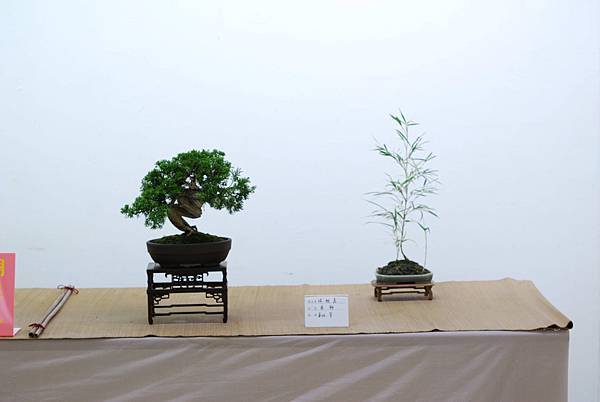 DSC_7672.jpg DSC_7672.jpg