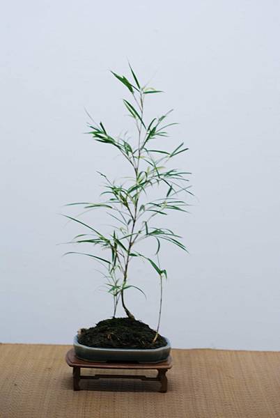 DSC_7674.jpg DSC_7674.jpg