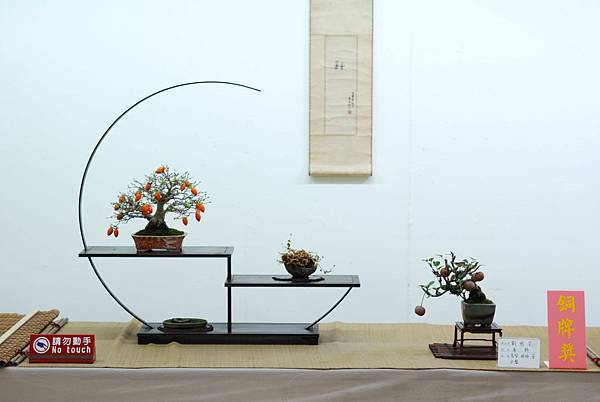 DSC_7675.jpg DSC_7675.jpg