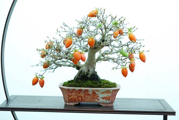 DSC_7677.jpg DSC_7677.jpg