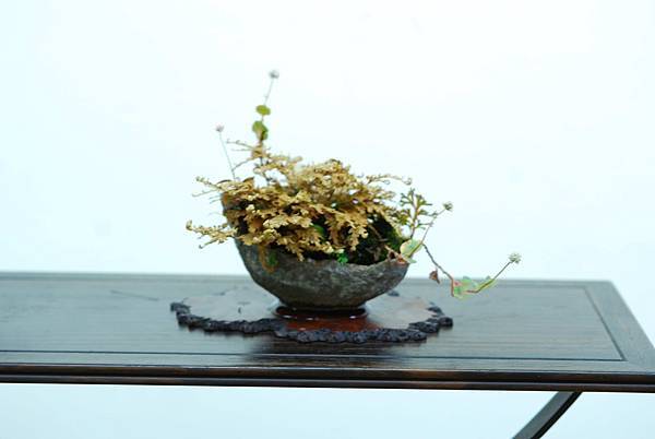 DSC_7678.jpg DSC_7678.jpg