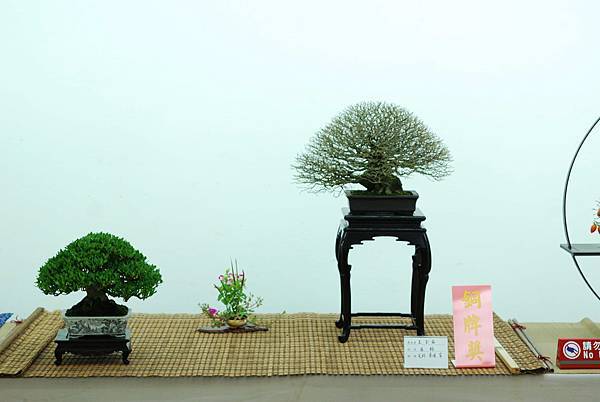 DSC_7681.jpg DSC_7681.jpg