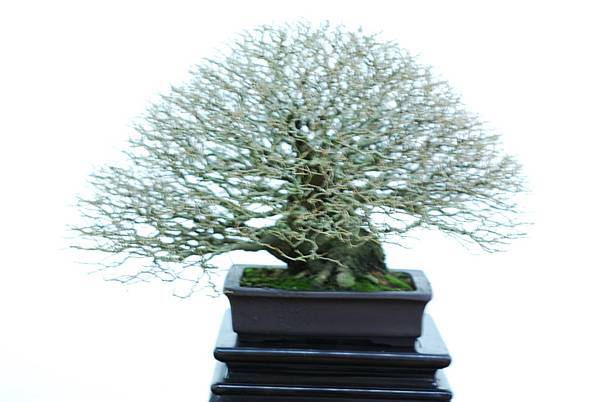 DSC_7684.jpg DSC_7684.jpg