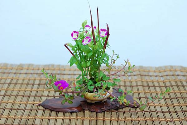 DSC_7685.jpg DSC_7685.jpg