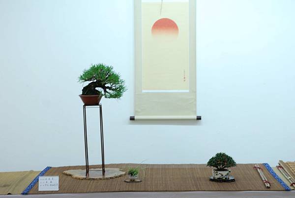 DSC_7687.jpg DSC_7687.jpg