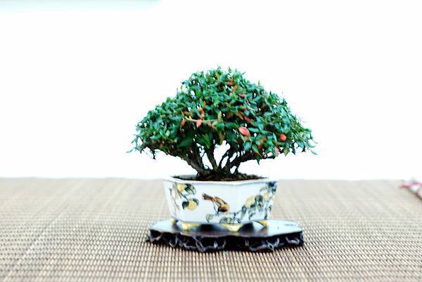 DSC_7693.jpg DSC_7693.jpg