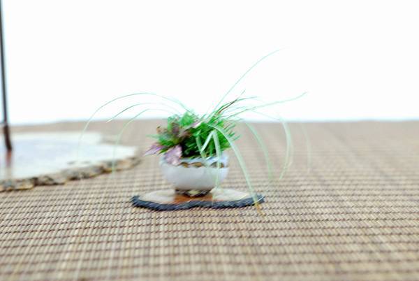 DSC_7695.jpg DSC_7695.jpg