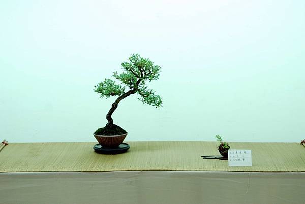 DSC_7697.jpg DSC_7697.jpg