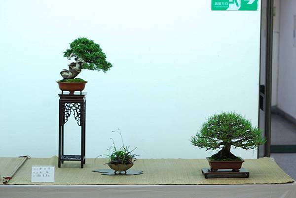 DSC_7702.jpg DSC_7702.jpg