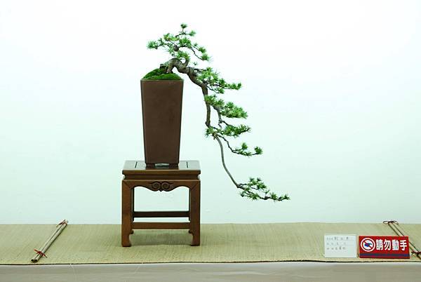 DSC_7707.jpg DSC_7707.jpg