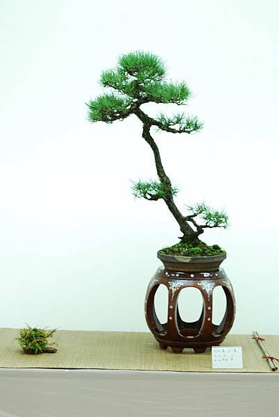 DSC_7711.jpg DSC_7711.jpg