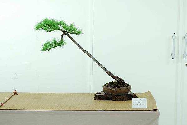 DSC_7712.jpg DSC_7712.jpg