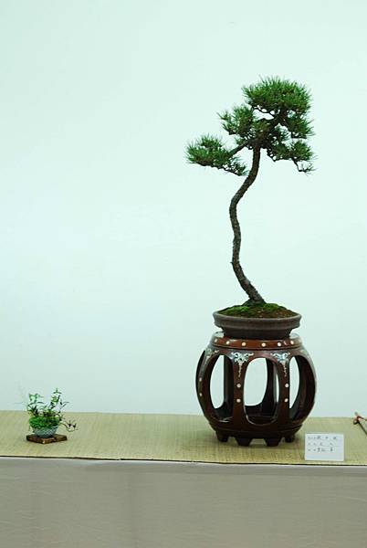 DSC_7710.jpg DSC_7710.jpg