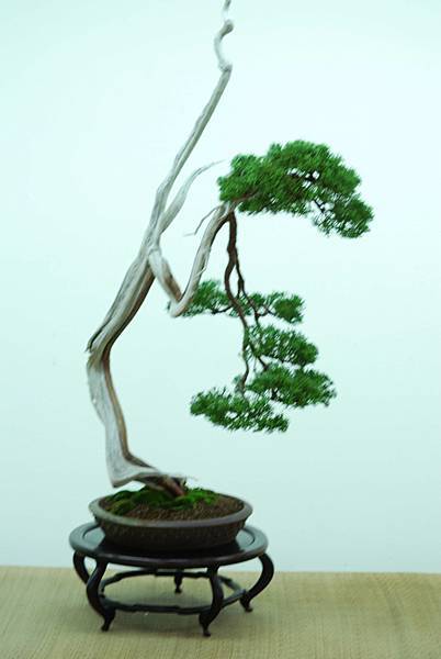 DSC_7716.jpg DSC_7716.jpg