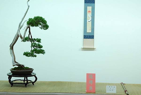 DSC_7714.jpg DSC_7714.jpg