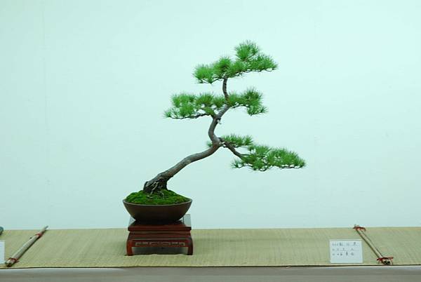 DSC_7718.jpg DSC_7718.jpg