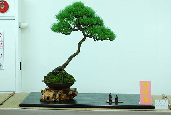 DSC_7719.jpg DSC_7719.jpg