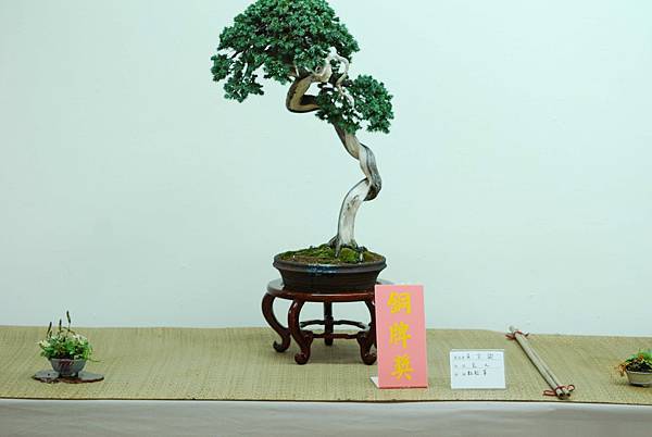 DSC_7721.jpg DSC_7721.jpg