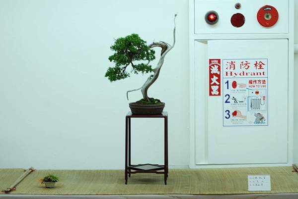 DSC_7720.jpg DSC_7720.jpg