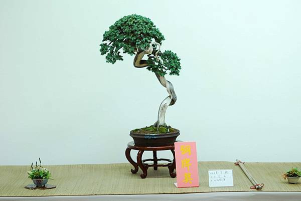 DSC_7722.jpg DSC_7722.jpg