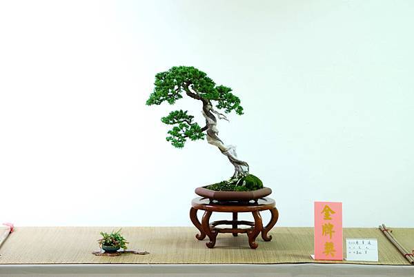 DSC_7723.jpg DSC_7723.jpg