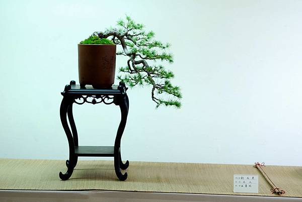 DSC_7725.jpg DSC_7725.jpg