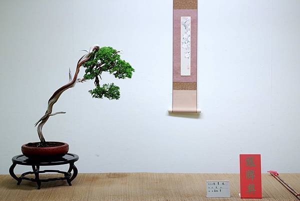 DSC_7724.jpg DSC_7724.jpg