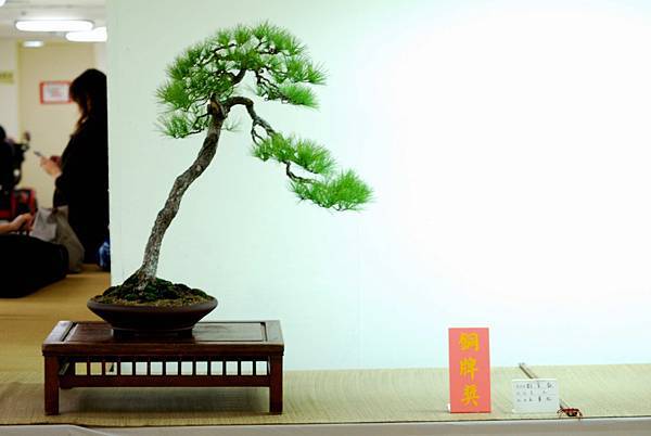 DSC_7726.jpg DSC_7726.jpg